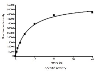 bioactivity MMP9-005H.jpg